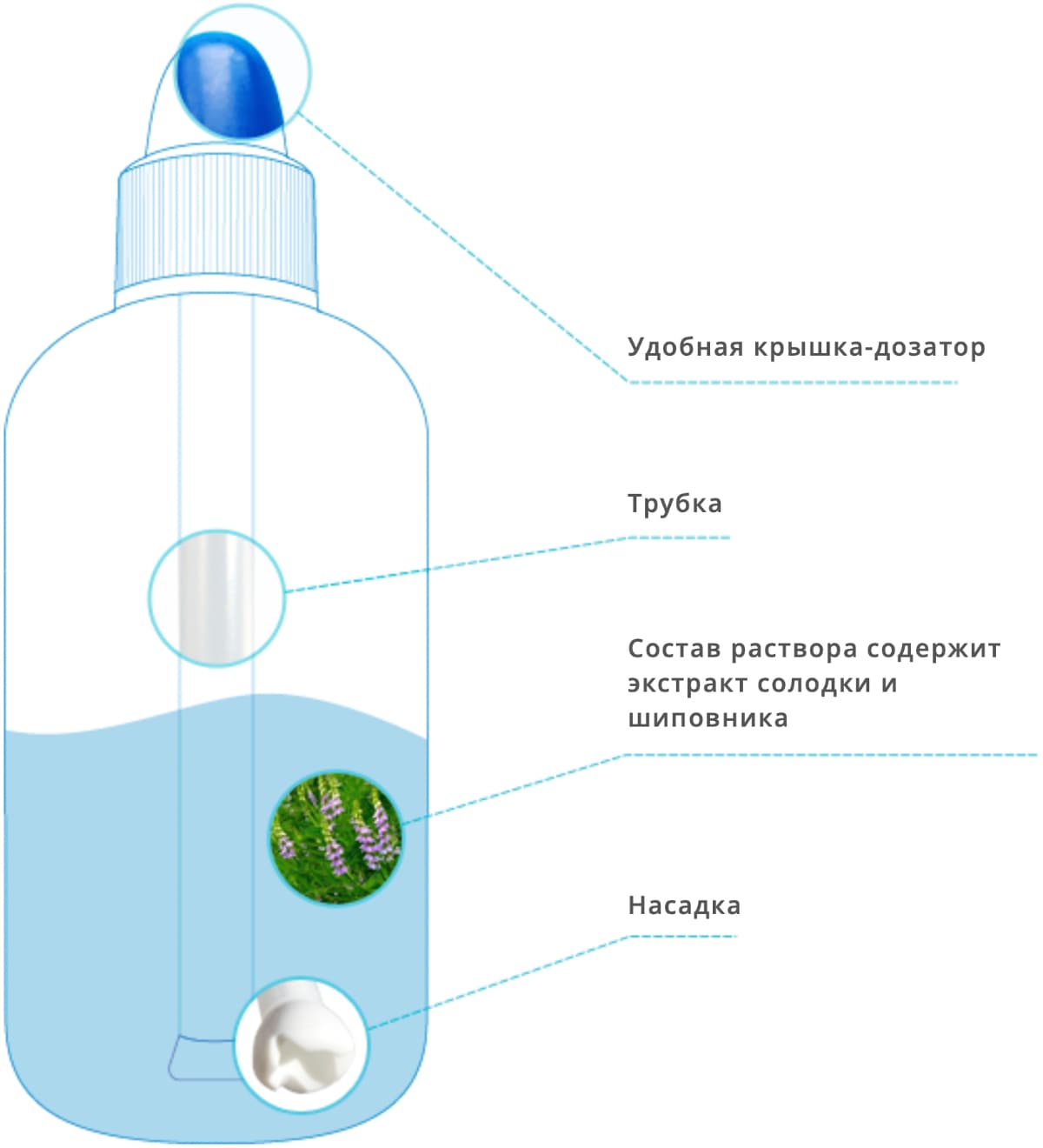 Долфин | Польмед